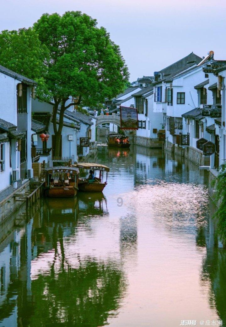 救援小巨鳄